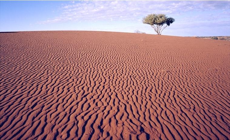 Preparing for the Megadrought